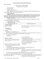 Giáo án chi tiết lớp 5  Tuan 17