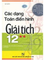 Các dạng toán điển hình giải tích giải tích 12 tập 2