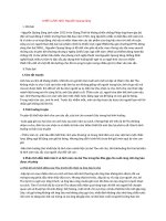 Tình cha con trong bài Chiếc lược ngà của Nguyễn Quang Sáng