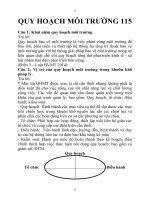 ĐỀ CƯƠNG QUY HOẠCH MÔI TRƯỜNG