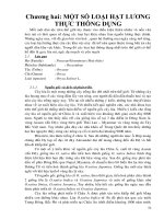 CHƯƠNG 2 MỘT SỐ LOẠI HẠT THÔNG DỤNG