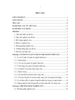 Luận văn cao học  Ảnh hưởng của quản trị nguồn nhân lực tới mức độ thỏa mãn công việc của cán bộ Cục Thuế tỉnh Quảng Ninh