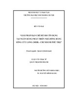 Giải pháp hạn chế rủi ro tín dụng tại ngân hàng phát triển nhà đồng bằng sông cửu long (MHB)   chi nhánh phú thọ 
