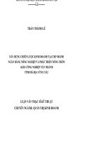 Xây dựng chiến lược kinh doanh tại chi nhánh ngân hàng nông nghiệp và phát triển nông thôn khu công nghiệp tân thành tỉnh bà rịa vũng tàu  