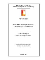 Hoàn thiện hoạt động kiểm tra sau thông quan tại Việt Nam