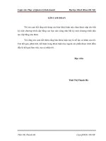 Hoạch định chiến lược kinh doanh đối với dịch vụ truyền hình số của tổng công ty truyền thông đa phương tiện VTC  