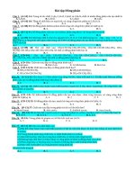 Bài tập đồng phân 