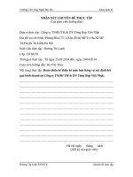 Chuyên đề thực tập hoàn thiện kế thiện kế toán bán hàng và xác định kết quả kinh doanh tại công ty TNHH TM  DV tổng hợp việt nhật