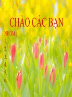 QUẢN LÝ LÀ GÌ ?  LÀM SAO ĐỂ QUẢN LÝ NHÂN VIÊN  TỐT VÀ HIỆU QUẢ?