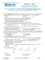 LTDH thionline phenol   de 1 