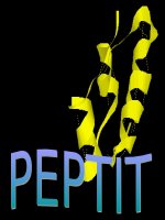 BAI 13 PEPTIT VA PROTEIN  cuc hay 