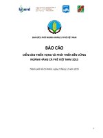 Báo cáo diễn đàn triển vọng và phát triển bền vững ngành hàng cà phê việt nam 2015