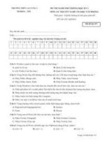 Đề thi tin học lớp 8 4