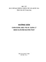 HƯỚNG DẪN CHẨN ĐOÁN, ĐIỀU TRỊ VÀ QUẢN LÝ BỆNH GLÔCÔM NGUYÊN PHÁT