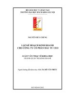 Lập kế hoạch kinh doanh cho Công ty cổ phần đầu tư CEO