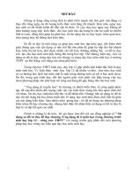 Chuyên đề sử dụng sơ đồ tư duy đề dạy học