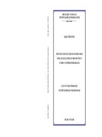 Nâng cao hiệu quả hoạt động cho vay tại ngân hàng TMCP đầu tư và phát triển việt nam, chi nhánh phúc yên 