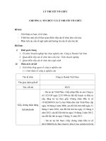 Honda VN  Lý thuyết tổ chức