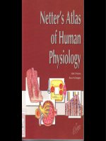 Atlas of Human Physiology