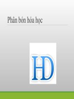 Bai 12 phan bon hoa hoc 