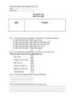 Đề thi tin học lớp 8 2