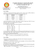 Đề thi duyên hải đồng bằng bắc bộ môn hóa học lớp 11 năm 2016   đề chính thức 