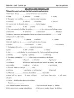 Bộ 100 câu trắc nghiệm từ vựng và ngữ pháp luyện thi THPT QG 