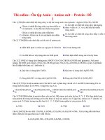 22 thi online   ôn tập amin – amino axit – protein   đề 2 