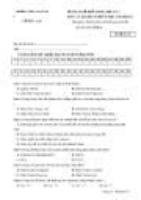 Đề thi tin học lớp 8 10
