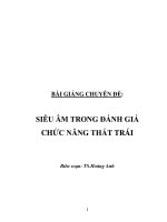 SIÊU ÂM TRONG ĐÁNH GIÁ CHỨC NĂNG THẤT TRÁI