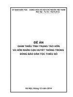 Đề án giảm thiểu tình trạng tảo hôn và hôn nhân cận huyết thống trong đồng bào dân tộc thiểu số