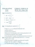 Đề thi học kì 1 môn Toán lớp 11 trường THPT Nguyễn Huệ, Phú Yên năm học 2014 - 2015