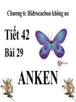 Thuy trang anken  42 