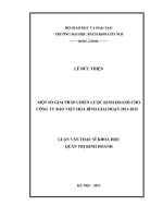 Một số giải pháp chiến lược cho công ty bảo việt hòa bình giai đoạn 2011   2015 