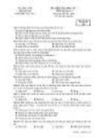 Đề thi tin học lớp 8 5