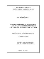 Ứng dụng phần mềm kế toán fedsoft lập báo cáo tài chính hợp nhất cho các tập đoàn, tổng công ty ở việt nam 