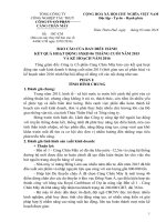 Báo cáo của ban điều hành kết quả hoạt động SXKD 6 tháng cuối năm 2015 và kế hoạch nam 2016