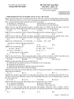 Phu nhuan TPHCM 2 2014 