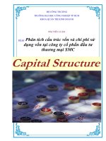 Luận văn Phân tích cấu trúc vốn và chi phí sử dụng vốn tại công ty cổ phần đầu tư thương mại SMC