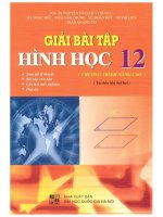 Giai bai tap hinh hoc 12 chuong trinh nang cao (NXB dai hoc quoc gia 2009)   nguyen van loc, 153 trang (NXPowerLite copy) 