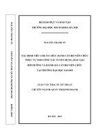 Xác định tiêu chuẩn chức danh cán bộ viên chức phục vụ cho công tác tuyển dụng, đào tạo bồi dưỡng và đánh giá cán bộ viên chức tại trường đại học sao đỏ 
