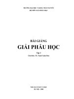 bài giảng giải phẫu học