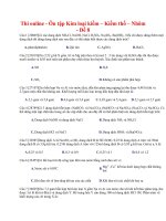 34 thi online   ôn tập kim loại kiềm – kiềm thổ – nhôm   đề 8 