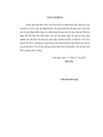 Phân tích và đề xuất một số giải pháp nhằm nâng cao chất lượng đội ngũ cán bộ làm công tác kiểm tra đảng trên địa bàn tỉnh nam định 