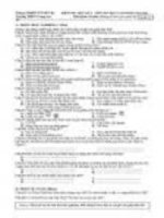 Đề thi tin học lớp 8 8