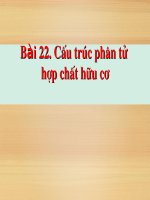 Bai 22 CAU TRUC PHAN TU HCHC 