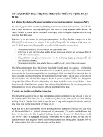 SƠ LƯỢC PHÂN LOẠI THỤ THỂ THEO CẤU TRÚC VÀ VỊ TRÍ HOẠT ĐỘNG