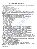 50 cau hoi on tap hoa hoc 11 86611 