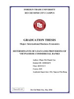 DETERMINANTS OF LOAN LOSS PROVISIONS OF VIETNAMESE COMMERCIAL BANKS