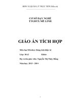 Giao an tich hop mon bang tinh dien tu